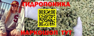 дмт Берёзовский