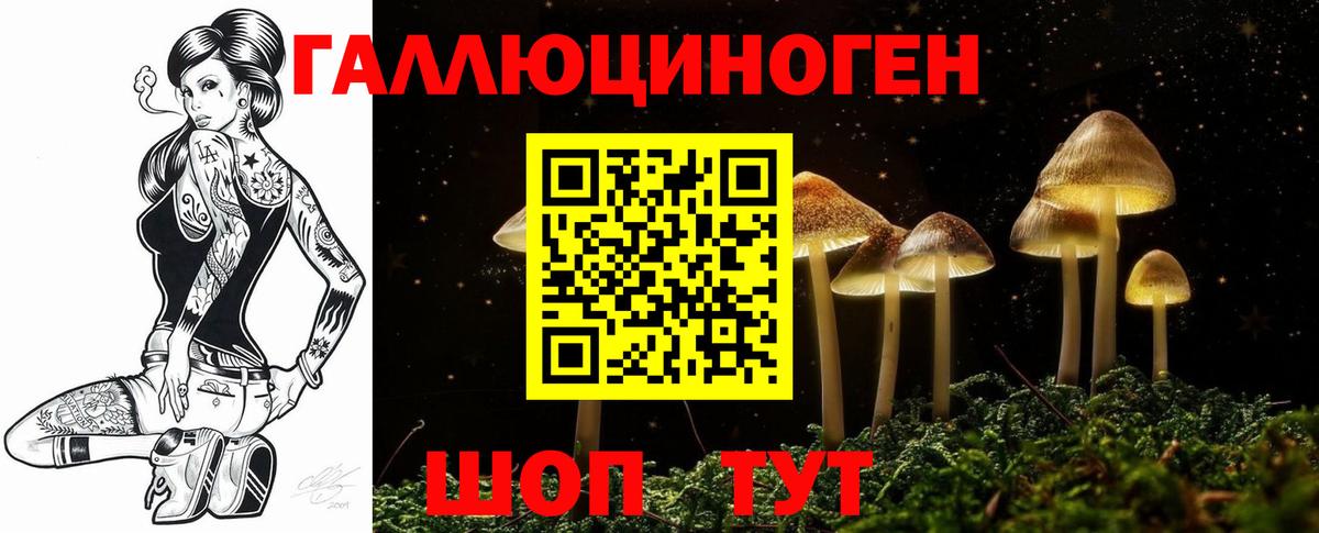 Галлюциногенные грибы Magic Shrooms  закладка  Киселёвск  Вход с VPN 